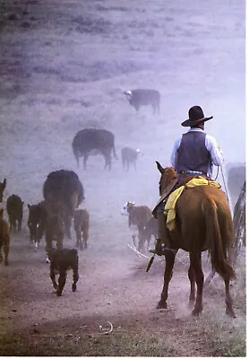1986 Vintage Print Cowboys Montana Range Horse Man Cattle Drive Herd Hat Dust • $24.88