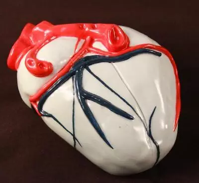 Vintage Hand Made Ceramic Heart Model Anatomical One Of A Kind Paperweight • $49.95