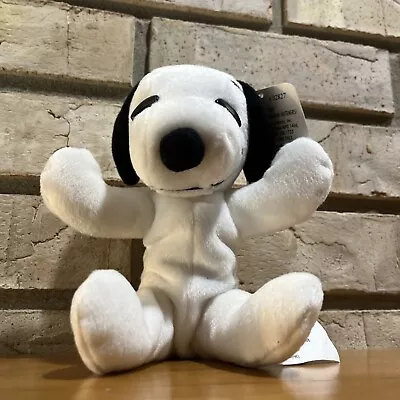 Rare Vintage Snoopy & Friends Snoopy Dog Bean Bag Plush 7  • $9.99