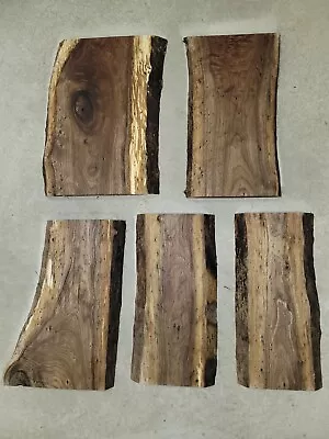 5 Live Edge Black Walnut Wood Slabs Highly Figured Rustic~ 13.5 ×(6.5-9.5 )×3/4  • $30