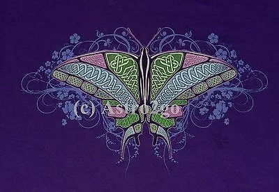 CELTIC BUTTERFLY--Bugs Insects Science Nature Ladies Scoop Neck-M Or T Shirt-2XL • $20