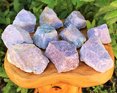 JUMBO Rough Lepidolite: 3  - 5  Huge Raw Natural Lepidolite Healing Crystals • $8.95