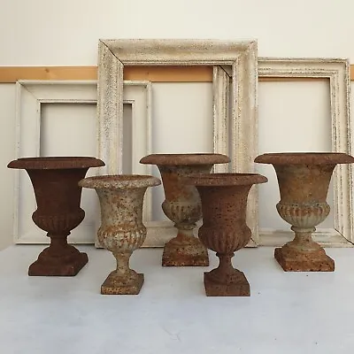 Antique French Cast Iron Urns Set Of 5 Items • $621.68