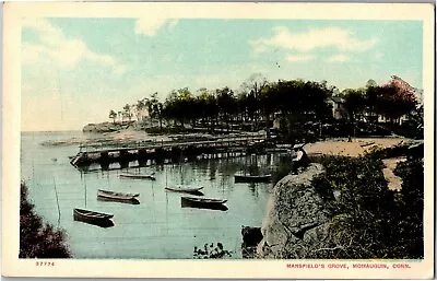 View Of Mansfield's Grove Momauguin CT Vintage Postcard B49 • $14.99