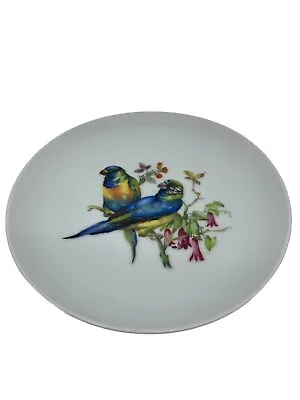 VINTAGE Bird Motif Deco Plate Germany Parrot Exclusive Collectible Tropical • $18