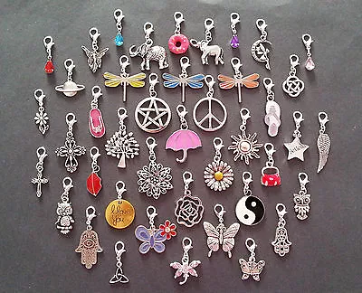 £1.39 • Buy Clip On Dangle Charms For Memory Locket / Bracelet / Keyring *Buy 2 Get 1 Free*