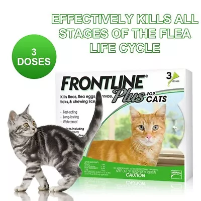 FRONTLINE Plus Flea And Tick Treatment For Cats And Kittens - 3 Doses • $26.99