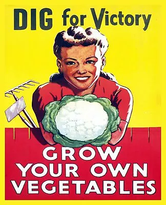 Decoration Poster.Home Room Art.Interior Design.Grow Vegetables Victory.7418 • $56