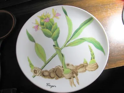 Horchow Collection BOTANICAL HERB SEED GINGER 7 5/8  Salad Plate • $6.85