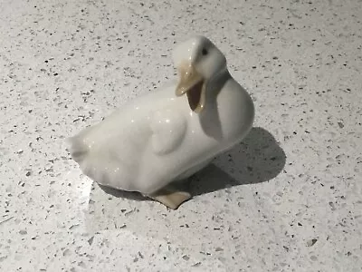 £6 • Buy Nao Duck