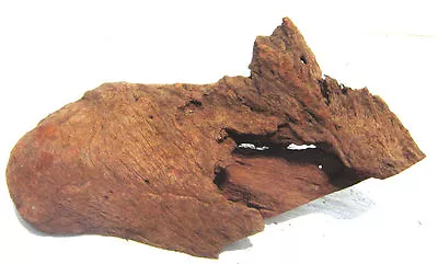 Malaysian Driftwood (small 7-10 Inches) • $3.80