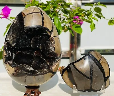 2295g Large Natural Dragon Septarian Septarium Crystal Geodes Lid Specimen Reiki • $399.99