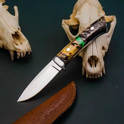 8.6'' Wild Blades Military Stainless Camping Antler Edc Chute Knife Loveless • $0.99