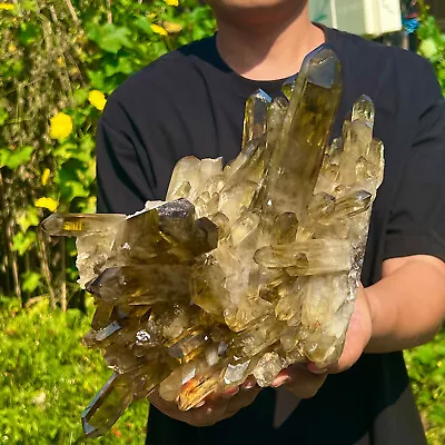 8.31LB Natural Citrine Crystal Quartz Cluster Mineral Specimen Healing   593 • $26