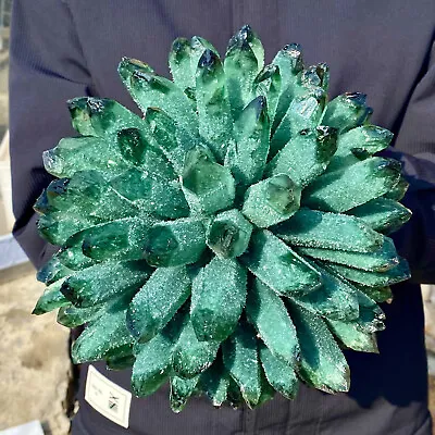 9.4LB New Find Green Phantom Quartz Crystal Cluster Mineral Specimen Healing • $2.25