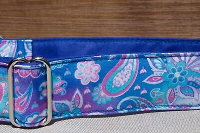 1.5  Inch Martingale Whippet Small Greyhound Collar. • $18