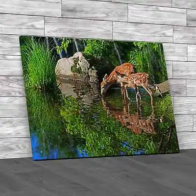 Water Reflections Of Two Baby Deer Original Canvas Print Large Picture Wall Art • £14.95