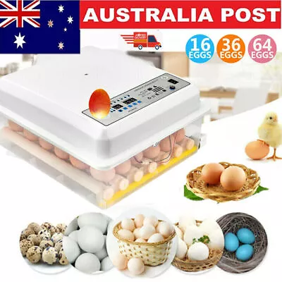 16/36 Egg Incubator Fully Automatic Digital Led Turning Chicken Eggs Poultry AU • $55.99