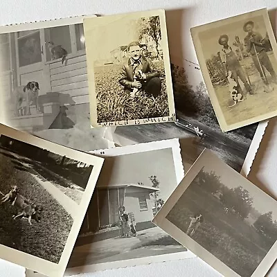 Vintage B&W Sepia Snapshot Dog Photograph Lot Collection Of 7 Adorable Dogs • $24.95