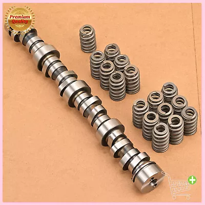 Sloppy Stage 2 Cam Camshaft Lifters Spring Kit E1840P For Chevy LS LS1 .585  • $128.75