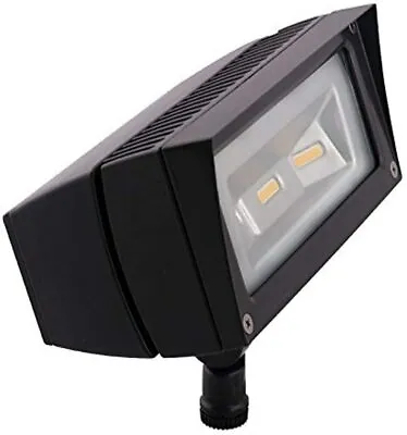 $230 • Buy RAB Lighting FFLED18 Future Flood 18W Cool LED 120V To 277V Lamp, Bronze HRDWIRD