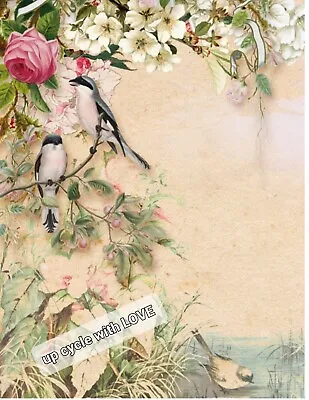 Furniture Decal Transfer Image Edwardian Style Pink Blossoms & Birds  Choose Diy • £5