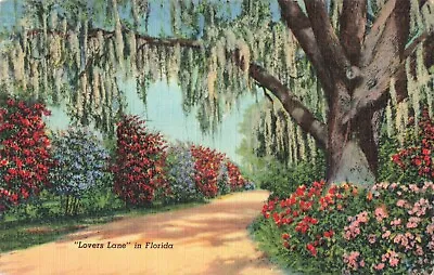 Melbourne Florida Lovers Lane Flower Lined Country Road Vintage Postcard • $6.39