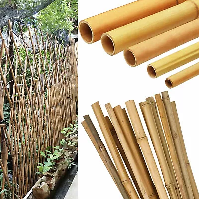 Heavy-Duty Bamboo Canes Natural Plant Support Stick Poles Outdoor Garden Canes • £3.70