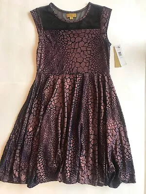 Nicolle Miller Dress Size Xl New Blue Gold Pattern Girls • $21.99