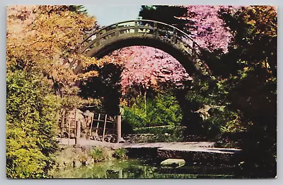 Moon Bridge Japanese Tea Garden Golden Gate Park San Francisco CA Postcard C8 • $4.95