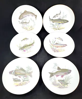 Vtg Kahla Germany Fish Pattern Salad Dessert Plates 7.5  Porcelain Set 6 • $79