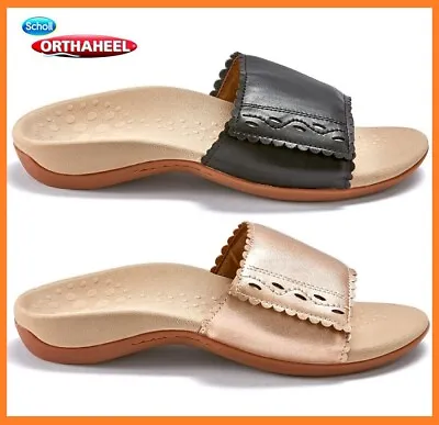 £46 • Buy Scholl Orthaheel Astrid Women Comfortable Supportive Slides Sandals 