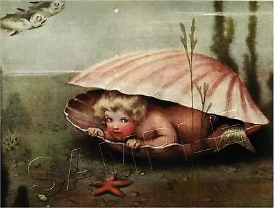 Vintage Era Victorian Mermaid Baby Clam Shell Merbaby Sea Nymph Canvas Art Print • $29.60