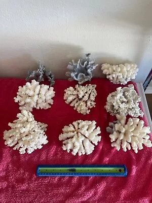 Dry Coral - Natural Coral For Aquarium- Large • $25