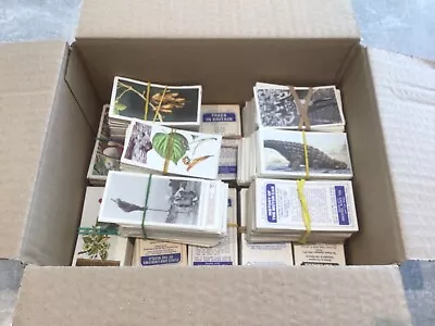 £1.25 • Buy Approx 1600 Brooke Bond Tea Cards Plus 6 Complete Albums