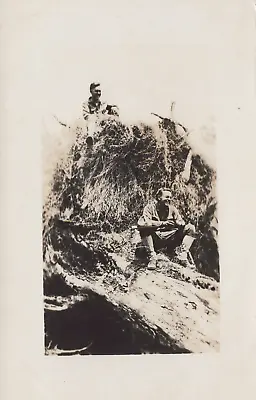 A Million Dollar Smile Young Men Giant Tree Azo RPPC Real Photo Vintage Postcard • $14.75