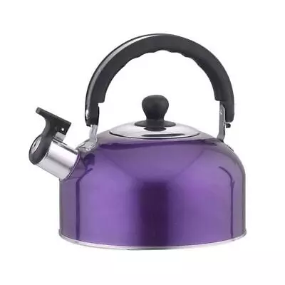3L Durable Stainless Steel Whistling Camping Bottle Lightweight Kettle • $21.79