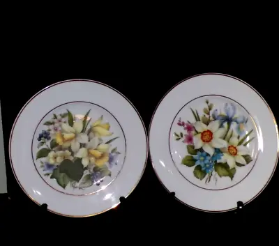 Decorative Floral Plates X2 Narcissus / Daffodil Pall Mall Ware Spring Time L@@K • £20