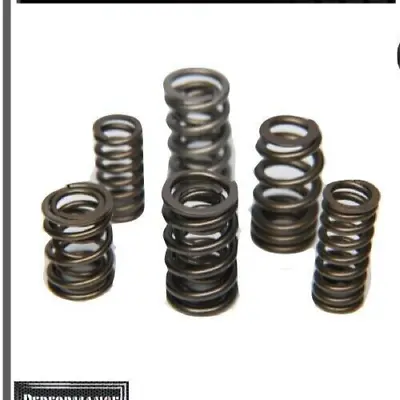 Ferrea Springs Honda D16Z6 D16Y8 D16 SOHC Civic Del Sol CRX VTEC • $440