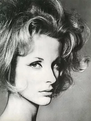 $189.23 • Buy 1959 RICHARD AVEDON Socialite DOROLES GUINNESS Fashion Large Duotone Photo Art