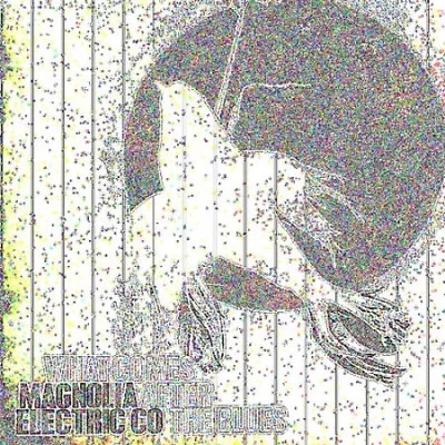 £9.42 • Buy What Comes After The Blues By Magnolia Electric Co.