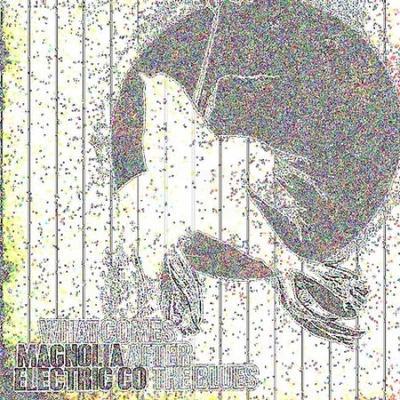 £18.07 • Buy What Comes After The Blues By Magnolia Electric Co.