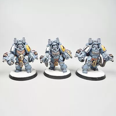 Warhammer 40k Army Space Marines Space Wolves Aggressors X3 Painted • £74.99