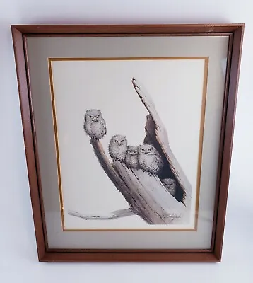VtG Guy Coheleach Frame House Gallery Signed Screech Owls 24  X 20  Framed Art • $249.95