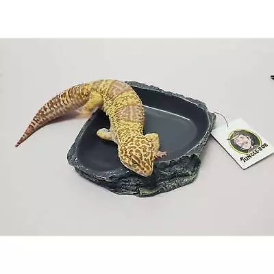 Corner Water Bowl Or Feed Dish For Reptiles Amphibians Inverts Small Mammals • $11.95