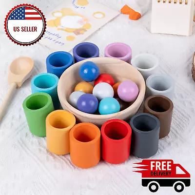 Sorting Rainbow Ball In Cups Toy Color Educational Montessori Kids Sensory Play • $19.85