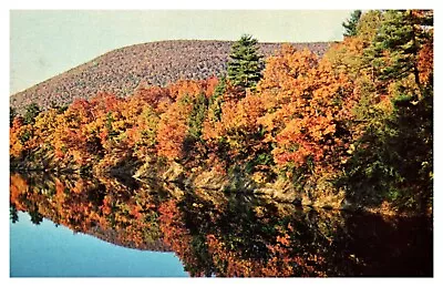 Montoursville PA Loyalsock Stream Autumn Fall Reflection Chrome Postcard • $5.94