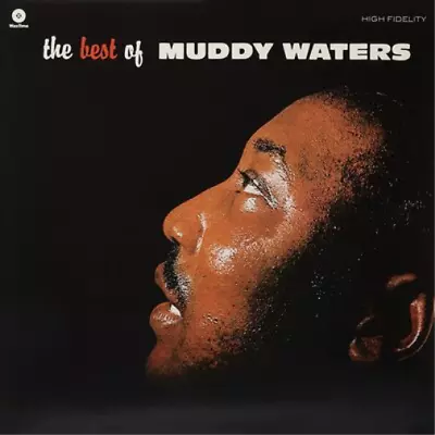 Muddy Waters The Best Of Muddy Waters (Vinyl) 12  Album • £15.88