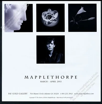 2003 Robert Mapplethorpe 4 Photo & Self Portrait GA Gallery Vintage Print Ad • $9.99