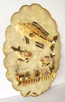 Mid Century ABALONE Nacre MOTHER OF PEARL Seashell SHELL FISH Bathroom WALL ART • $39.99